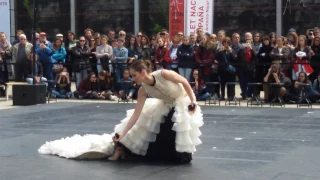 Ballet Nacional de España (Ensayo)