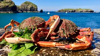 Coastal Foraging/Exploring - Diving for Crab & Lobster with Beach Cook up Cornwall | The Fish Locker