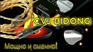 Гибридные наушники CVJ Bidong: Мощно и смачно!🤌