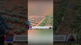 Mga magsasaka sa Benguet, bumibili ng tubig para sa kanilang pananim #shorts | Unang Balita