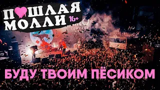 ПОШЛАЯ МОЛЛИ — Буду твоим пёсиком |  21.02.2020 НИЖНИЙ НОВГОРОД