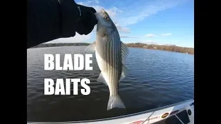 Jigging for Striped Bass