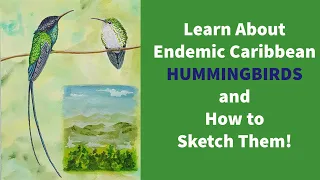 Sketching Caribbean Endemic Hummingbirds Live Workshop