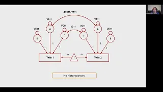 Heterogeneity