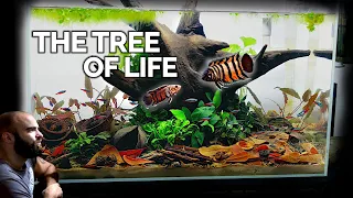 The MOST TERRITORIAL Rare Nano Fish!! in Botanical Aquarium Build