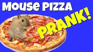 MOUSE PIZZA PRANK ON MOM - Top Pranks