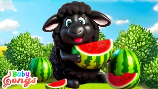 Old Macdonald Had A Farm + Baa Baa Black Sheep | Nursery Rhymes & Kids Songs
