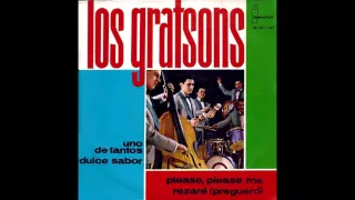 Los Gratsons - Please Please Me (The Beatles Cover, in Spanish)