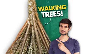 These Trees can Walk!