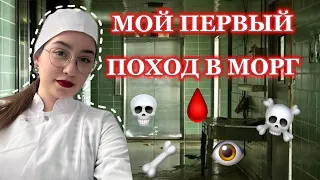 мой первый поход в морг | медицинский колледж