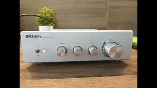 BRZHIFI на прослушивании TPA3255