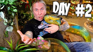 50 Hours Locked In My Giant Anacondas Cage!