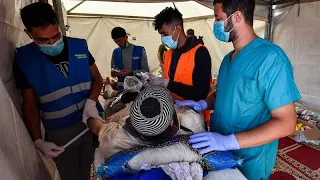 Morocco earthquake: With volunteer doctors mobilized in devastated regions