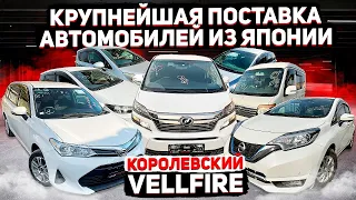 Крупная поставка авто из Японии. Королевский Vellfire! Что с ценами?