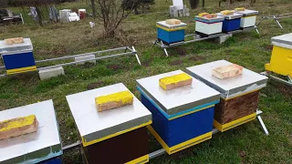 Radovi na pcelinjaku u februaru Works on the apiary in February