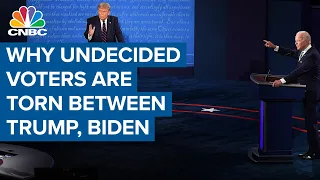 Why undecided voters are torn between President Donald Trump and Joe Biden: Political strategist