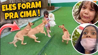 LEVEI MEUS FILHOS PARA O SHOPPING E OLHA NO QUE DEU!!! 😱