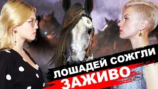 ЛОШАДЕЙ СОЖГЛИ ЗАЖИВО // ПОЛИЦЕЙСКИЕ УСТРОИЛИ ПОГОНЮ ЗА НАРУШИТЕЛЕМ БЕЗ ПРАВ 16+