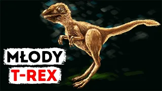 Młody T-rex w niczym nie przypomimnał potwora z filmów