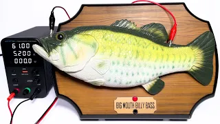 If High Voltage is Applied to the "Big Mouth Billy Bass"