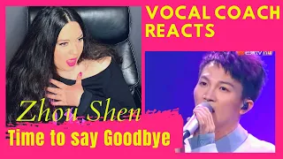 Vocal Coach Reacts to ZHOU SHEN Time To Say Goodbye/周深 FIRST TIME Reaction/Analysis