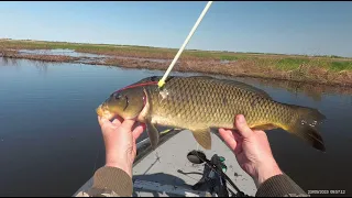 Охота на сазана - 2 CrossBow Fishing