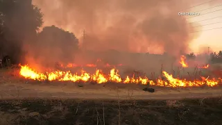 Brush Fire Ignites Along I-210 In Lake View Terrace