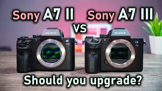 Sony A7 III vs Sony A7 II - Should you upgrade?