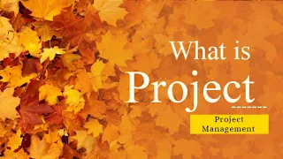 What is Project | Meaning and definition of the project.