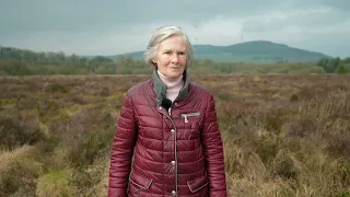 The Stop, Look, Listen: Preserving  the Biodiversity of Ballyhoura Country