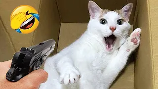 Funniest Animals 😄😄 New Funny Cats and Dogs Videos 😹🐶 Part 18