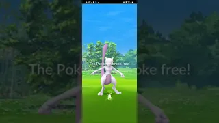 Free Mewtwo only when u reach this far ... | Pokémon GO