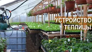 Устройство теплицы для выращивания цветов. Цветочный бизнес Кайгородцевых.