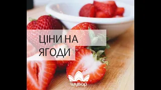 🍓 Ціни на ягоди на ринку "Шувар", 25.08.20