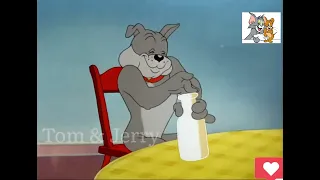 Tom and Jerry The Truce Hurts Classic Cartoon.mp4 ( 04 )