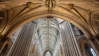 Live: Choral Eucharist on the Seventeenth Sunday after Trinity, sung by the Choir of York Minster