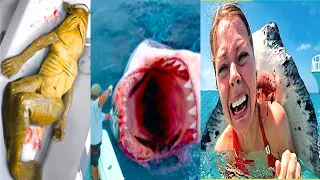 Catching Seafood 🐙🦀 Deep Sea Octopus (Catch Shark, Catch Fish, Sea Creatures) TikTok #29