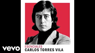 Carlos Torres Vila - Canción de las Simples Cosas (Official Audio)