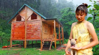 2 Year Living Off Grid Building sustainable Cabins and gardens | Ana Bushcraft