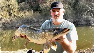 Lure fishing for pike on February 13th, definitely my last pre spawning session.