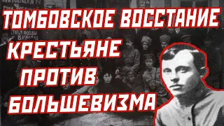 Тамбовское восстание Антонова: крестьяне против большевизма, причины, мятеж