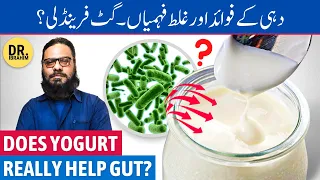 Dahi Khane Ke Fayde + Nuksan | Does Yogurt Really Help Your Gut? Curd | Urdu/Hindi