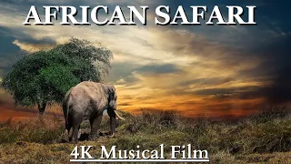 African Safari 4K - Scenic Relaxation Wildlife Film with Calming Music | Africa Wildlife in 4K