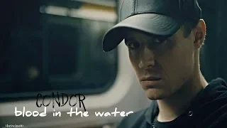 Condor | blood in the water [+18]