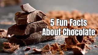 5 Fun Facts About Chocolate