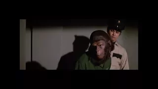 Conquest of the Planet of the Apes (1972) Caesar is paired with Lisa