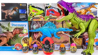 Jurassic World Unboxing Review | RC T Rex Dinosaur, Dinosaur Hand Puppets, Hammond Collection