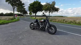 Harley Davidson Streetbob FXBBS Custom 114 M8 2021 | Walkaround