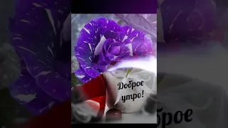 Пусть ваше сегодня будет прекрасным, как эти розы!