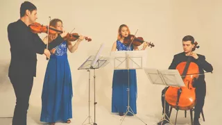 The Lancashire String Quartet performing A Thousand Years - Available from AliveNetwork.com